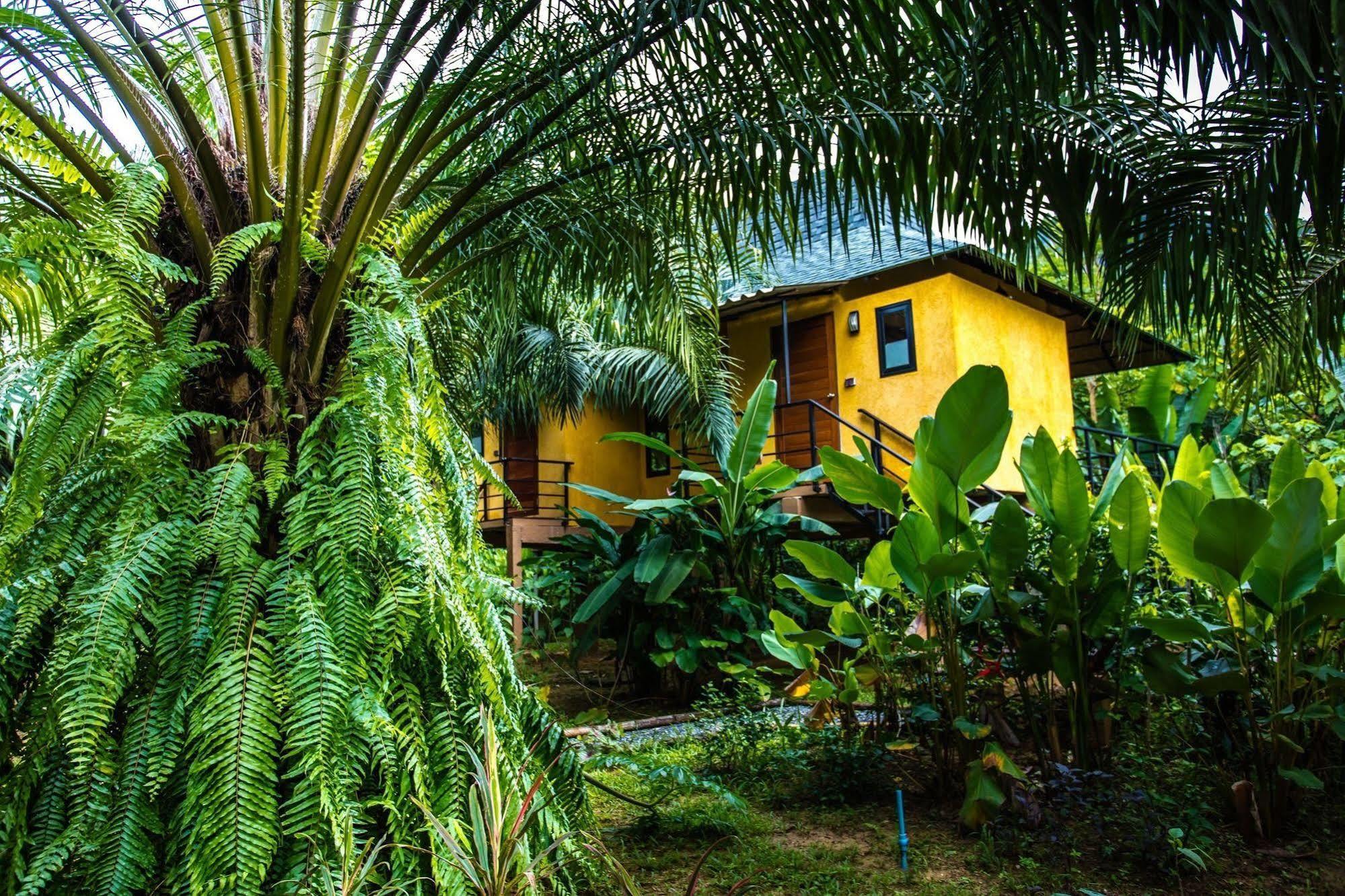 Anurak Community Lodge - Sha Plus Khao Sok National Park Exteriér fotografie